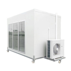 fast shipping movable cold storage room frozen food container cold room freezer made in China