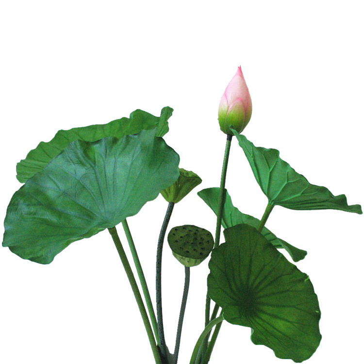 Green leaf plants lotus leaf Green plants flowers artificial flowers grass silk flower decoration home decoration shoots