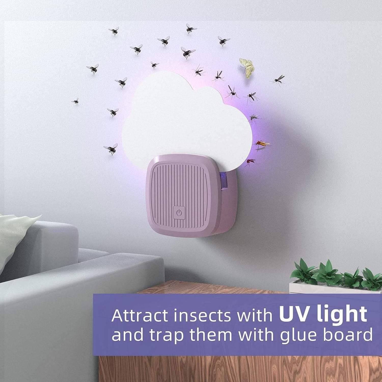 New Arrival Indoor Smart Moths Fruit Flies Trap Electric House Flies Trap Moth Killer Plug In Electric Fly Sticky Traps