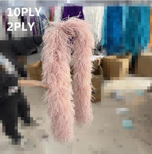 Dekey Factory High Quality Natural Ostrich feather boa 1-30Ply Ribbon 2M Plumas Decoration for Costume Clothing Sewing Accessory