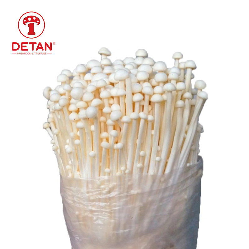 DETAN fresh enoki mushroom price natural flammulina velutipes from china