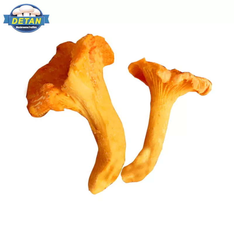 Detan Exports Frozen Wild Chanterelle mushrooms with Pure wild, seasonal mushroom