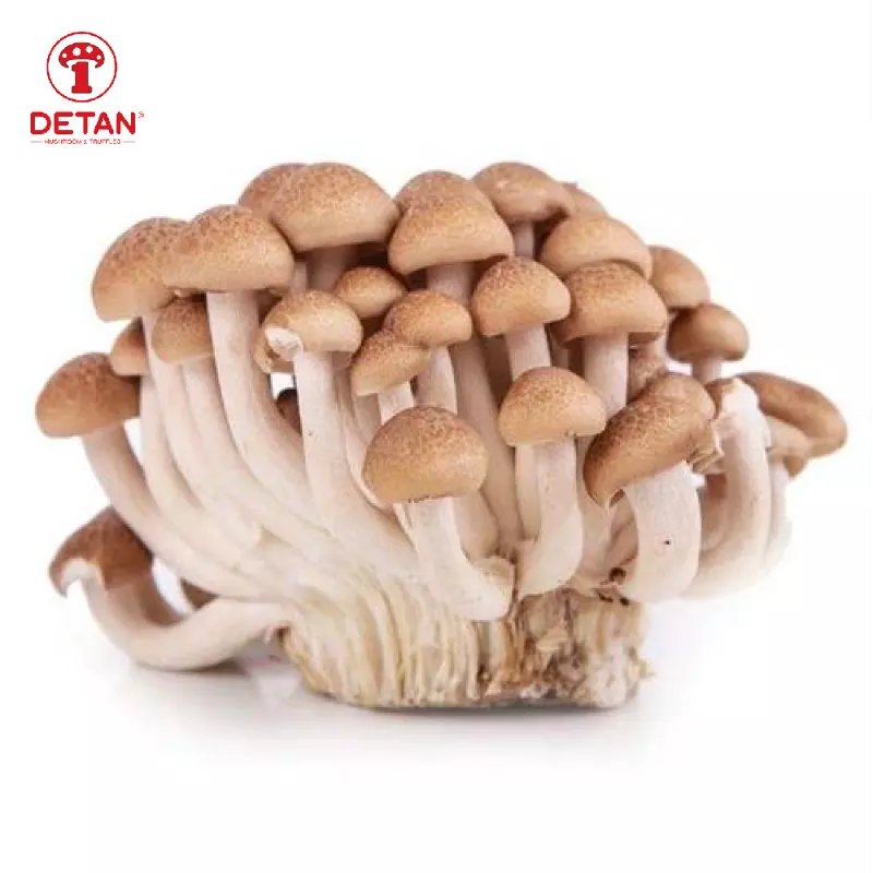 DETAN export fresh shimeiji mushroom wholesale brown beech mushroom