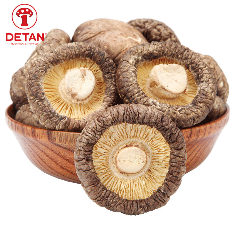 china export 	dried mushroom dehydrated shiitake mushroom for sale