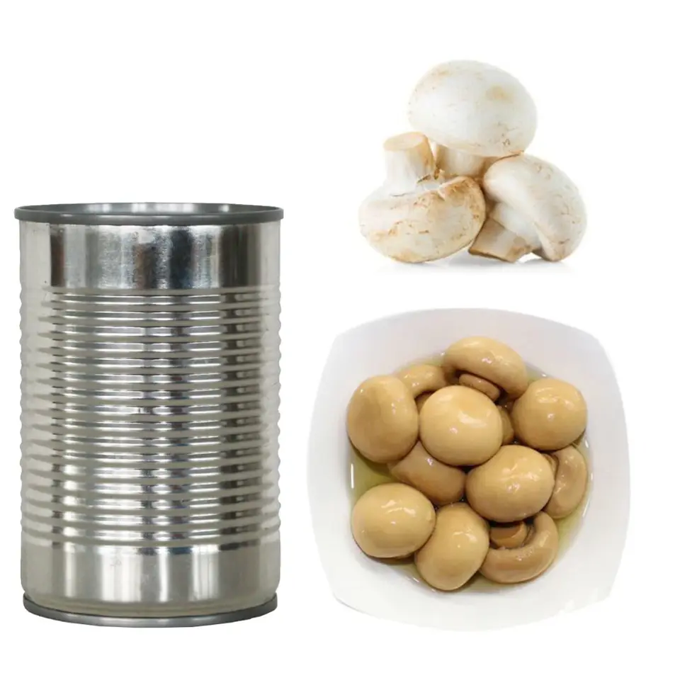 china export edible mushroom canned button mushroom canned sliced for sale