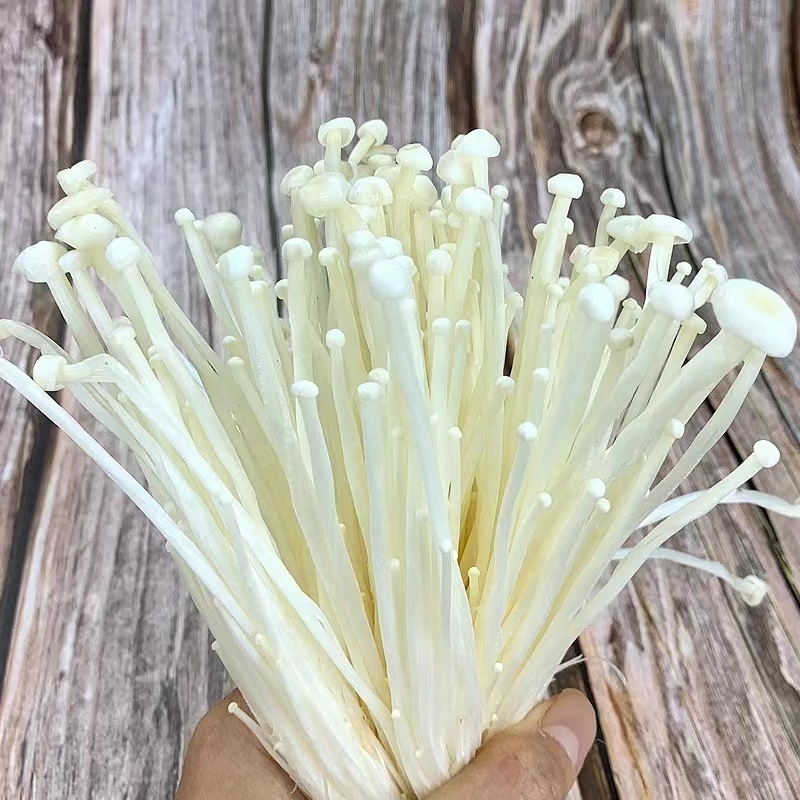 China Export Enoki Mushroom 250g Wholesale Price