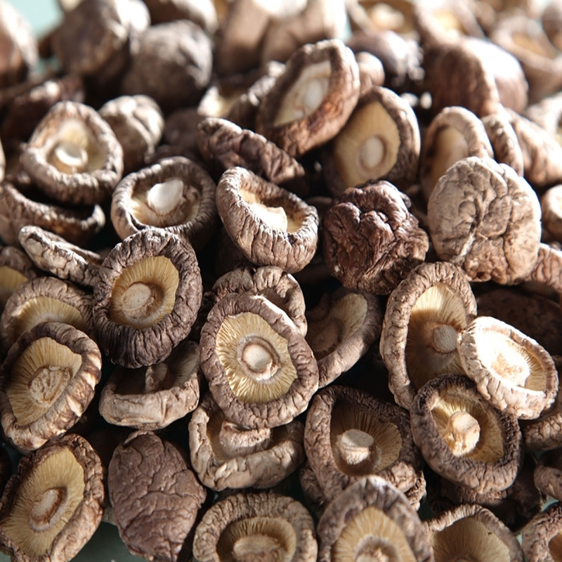 Bulk Edible organci shiitake Mushrooms Dried Shiitake Mushrooms