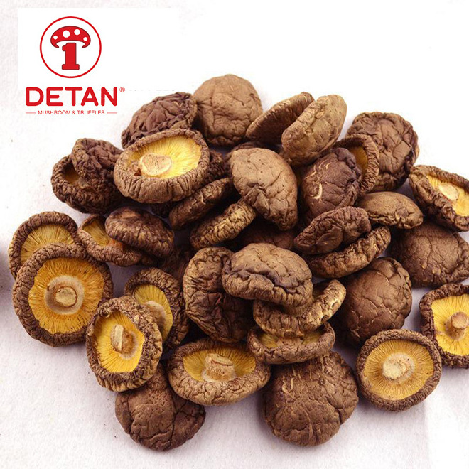 china export 	dried mushroom dehydrated shiitake mushroom for sale