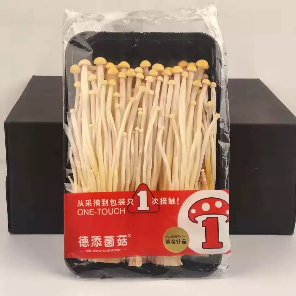 Detan New Product High Quality Factory Cultivated Fresh Golden Enoki Exotic Mushrooms