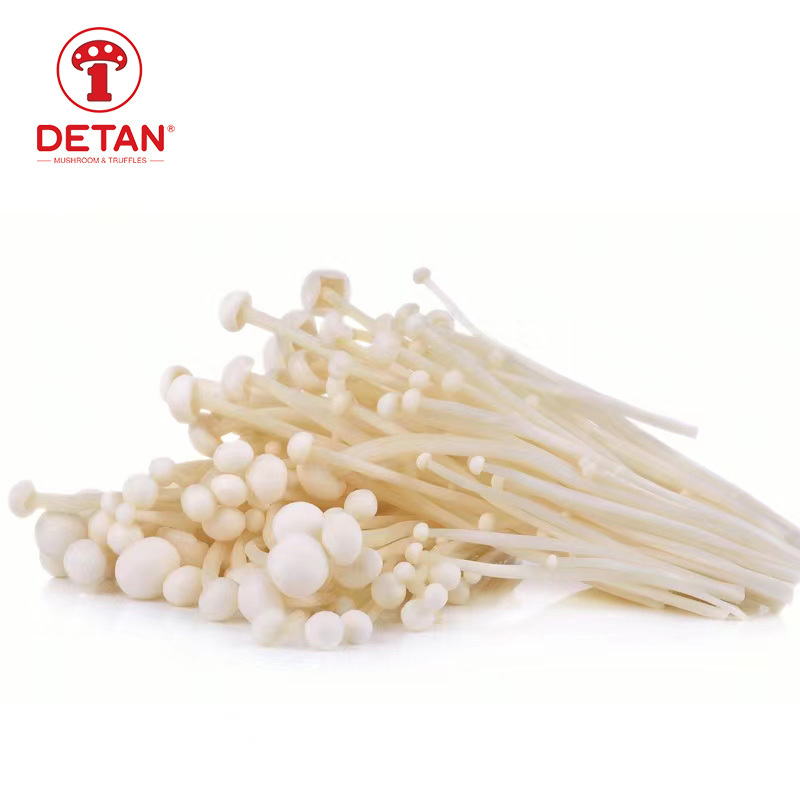 Export high quality fresh mushroom jamur enoki for sale