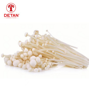 Export high quality fresh mushroom jamur enoki for sale