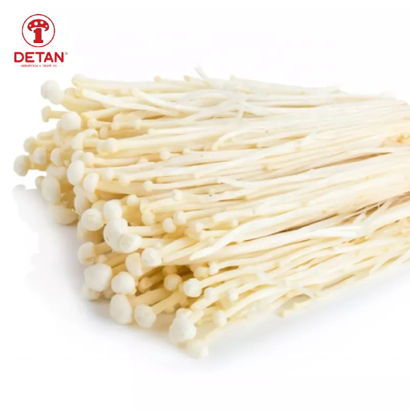 Detan Export High Quality Enoki Mushroom China Enoki Mushroom Price