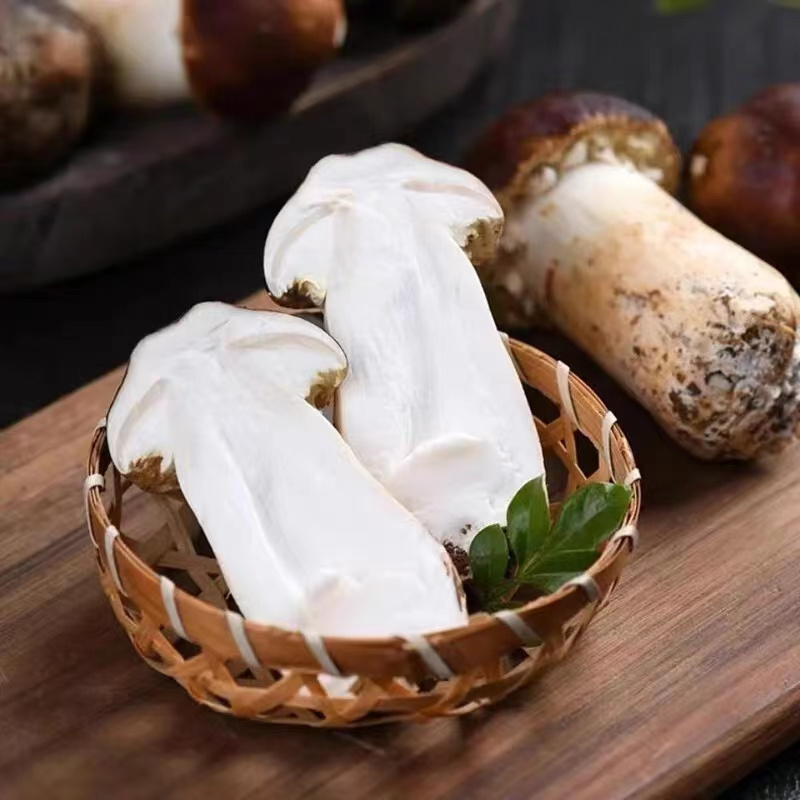 DETAN export fresh matsutake mushroom