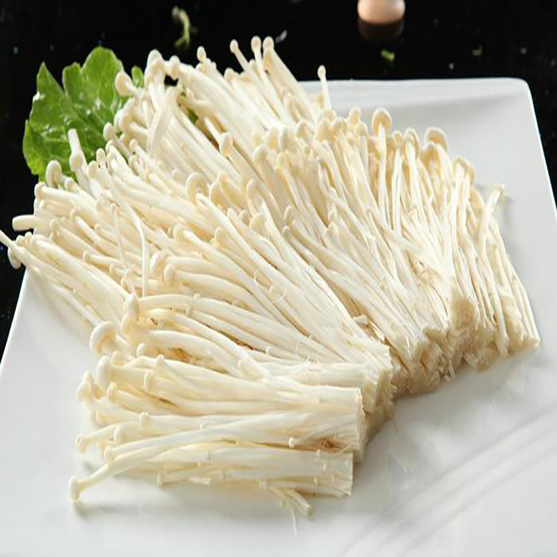 wholesale enoki mushroom DETAN fresh enoki mushroom