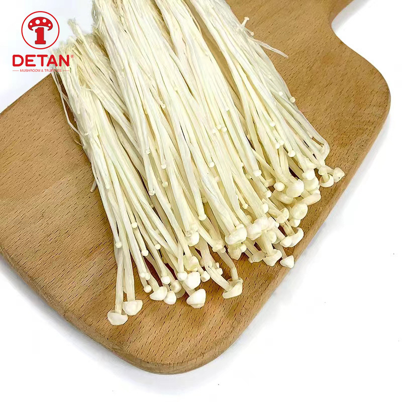 Export high quality fresh mushroom jamur enoki for sale