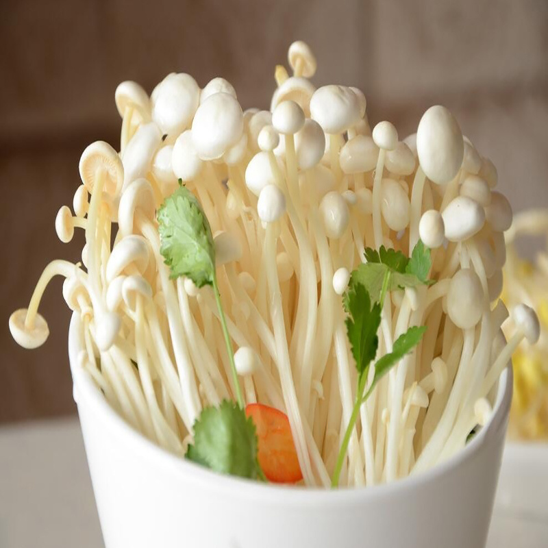 wholesale enoki mushroom DETAN fresh enoki mushroom