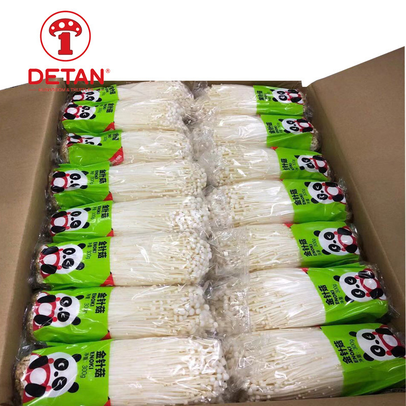 Nutrients fresh Enokitake/ Enoki / Golden Needle Mushroom for sale