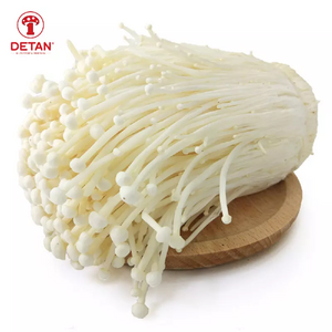 wholesale enoki mushroom DETAN fresh enoki mushroom