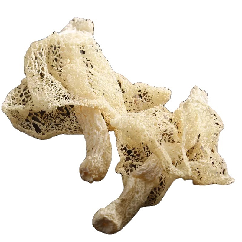 China Detan Wild Dried dictyophora indusiata mushroom