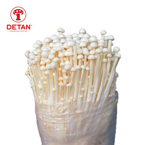 China Export Enoki Mushroom 250g Wholesale Price