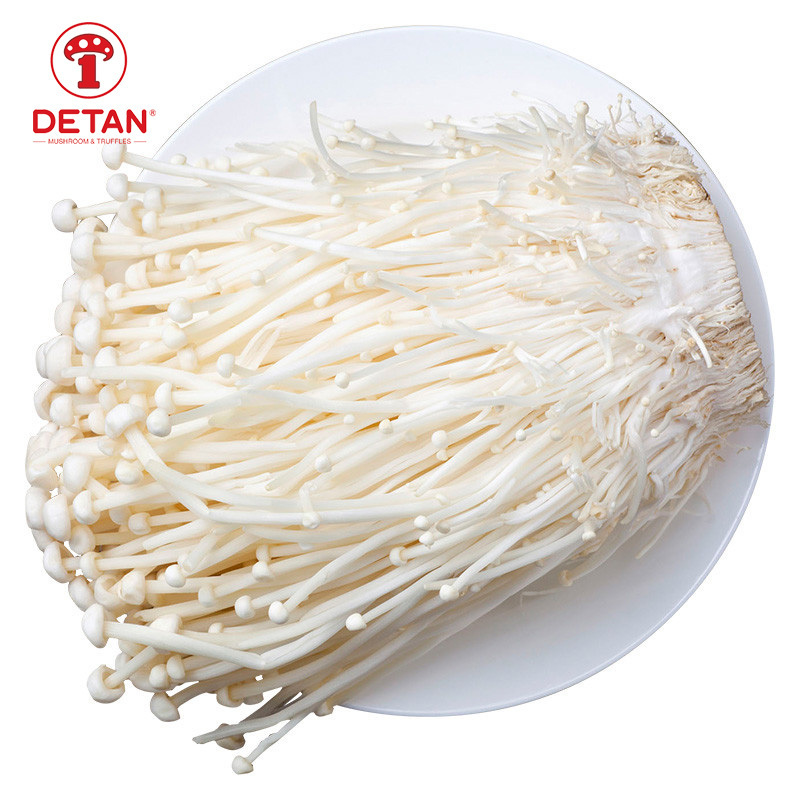 DETAN fresh enoki mushroom price natural flammulina velutipes from china