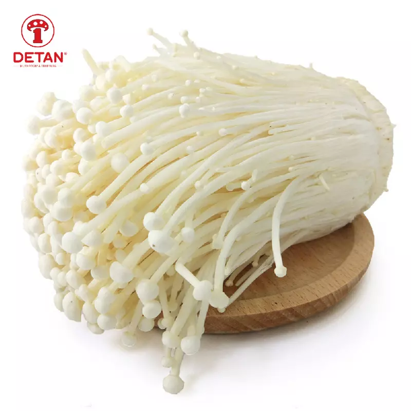 Detan Export High Quality Enoki Mushroom China Enoki Mushroom Price