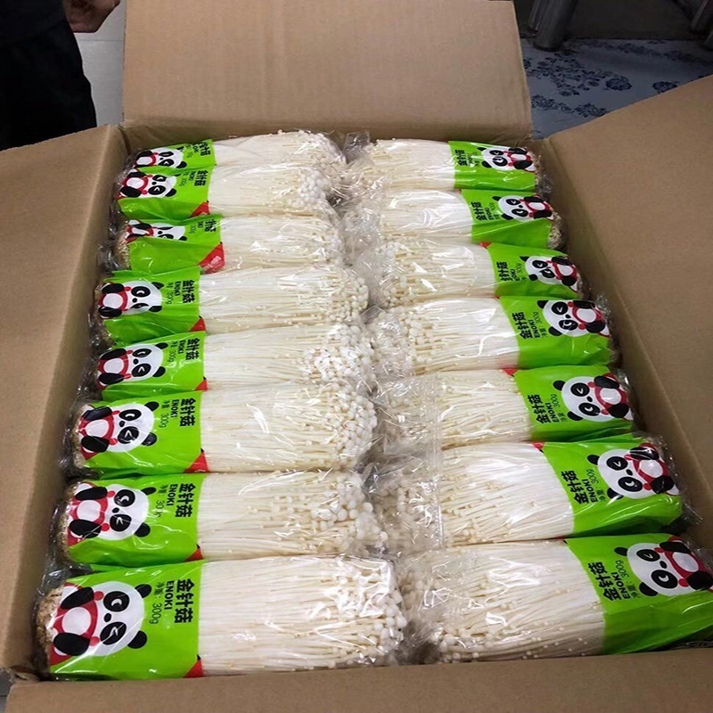 China Export Enoki Mushroom 250g Wholesale Price