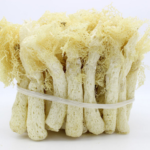 Hot Sale Dried Dictyophora Indusiata Bamboo Fungus Nutritional Dictyophora Mushrooms