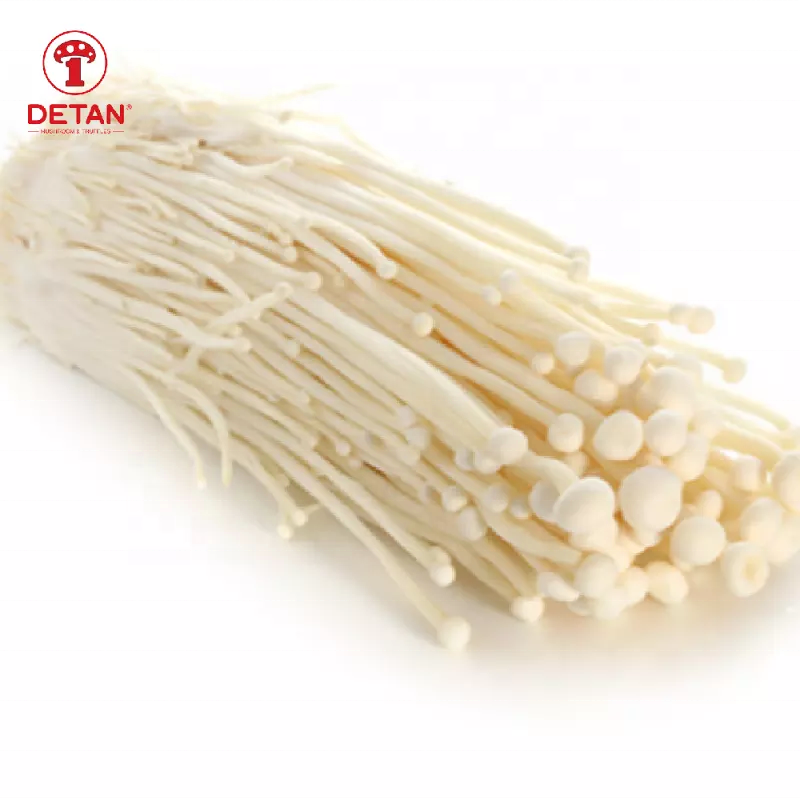 Detan Export High Quality Enoki Mushroom China Enoki Mushroom Price