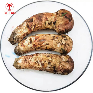 DETAN export fresh matsutake mushroom