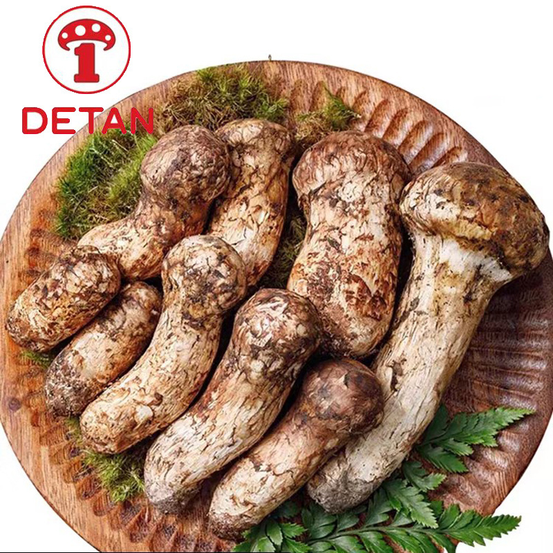 yunnan wild fresh matsutake mushroom detan export fresh tricholoma matsutake mushroom