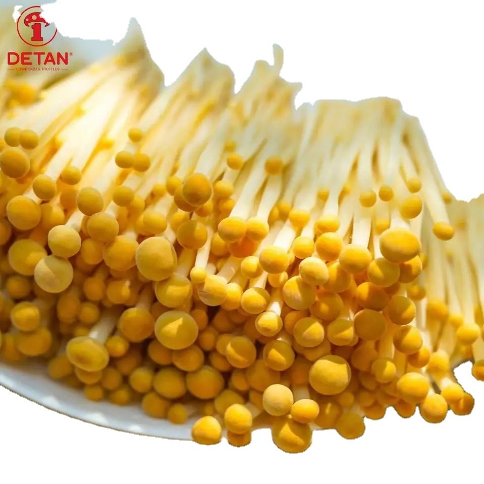 Detan New Product High Quality Factory Cultivated Fresh Golden Enoki Exotic Mushrooms