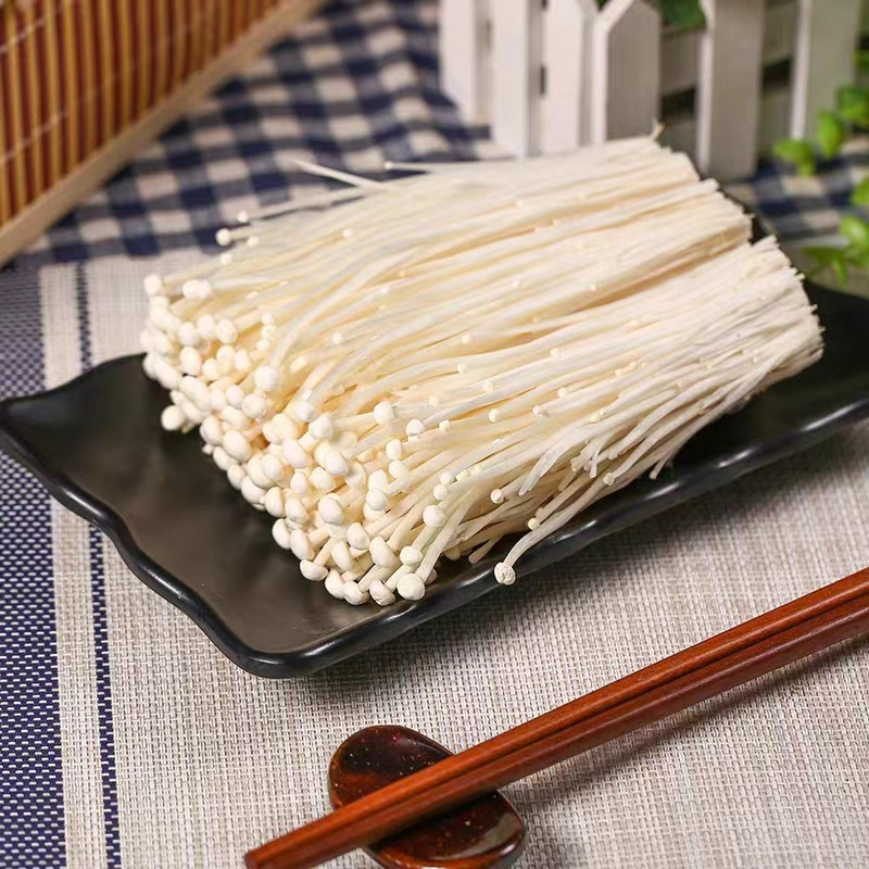 china Export fresh enoki mushroom high quality enoki mushroom cultivation