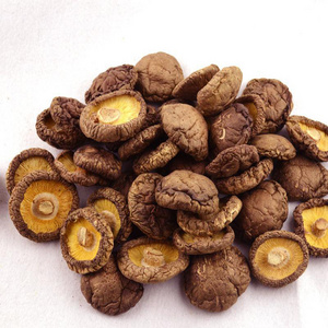 Bulk Edible organci shiitake Mushrooms Dried Shiitake Mushrooms