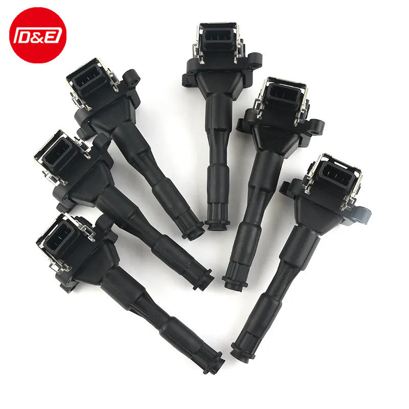 12131748018 12131703825 12139067830 Factory Direct Sale Car Parts Auto Engine Ignition Coil For BMW M50 M54 M62 M52 Rover