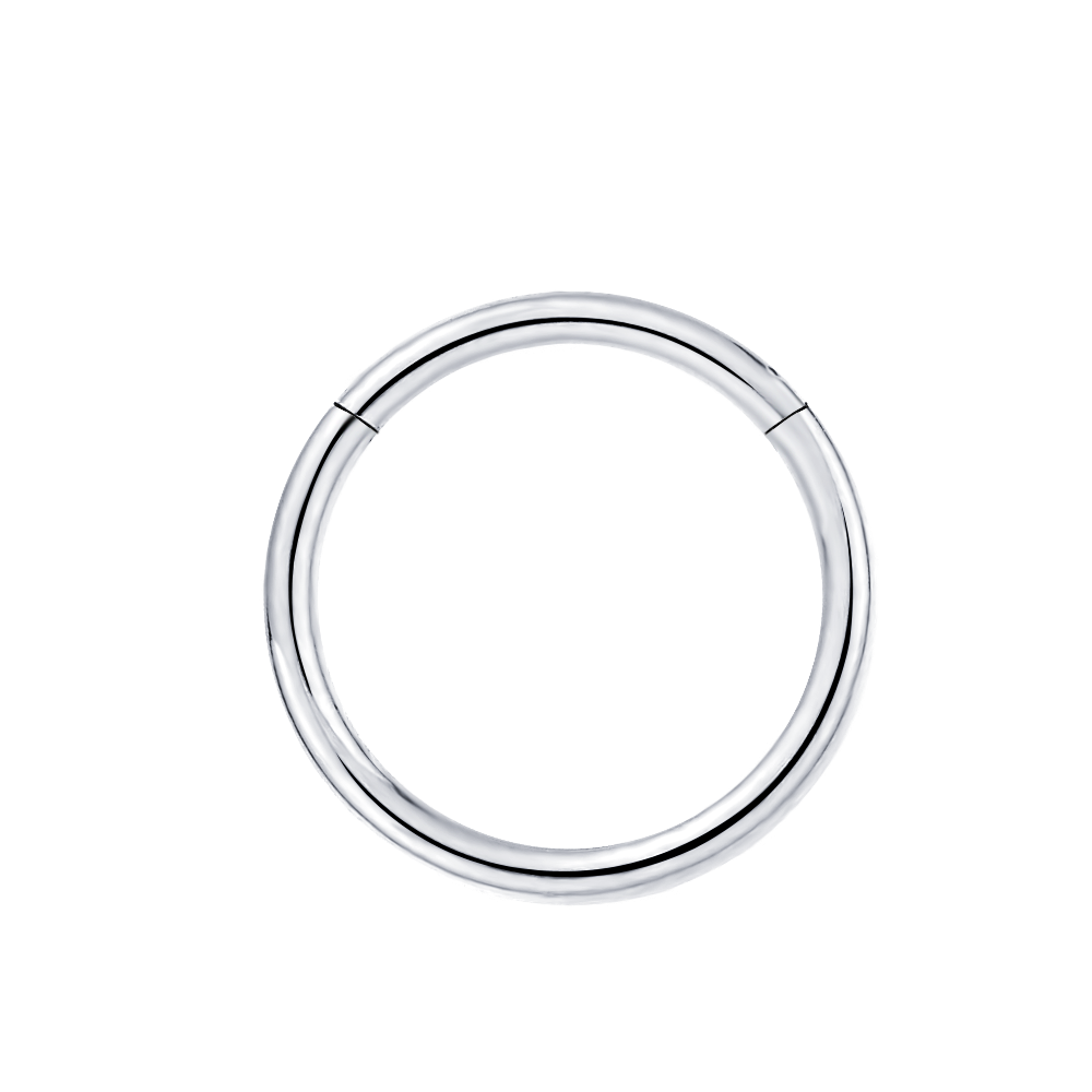 Stainless Steel Segment Hinged Septum Clicker Designer Nose Ring Hoop nose ring