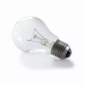 Hot sale Clear or Frosted A60 60w 75W 100W E27 B22 Incandescent bulb for decoration