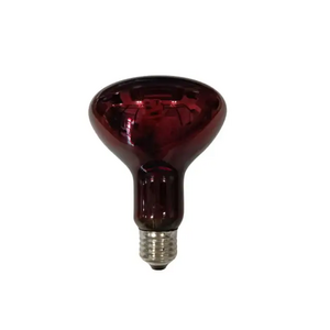 Factory price Infrared Heating Bulb E27 100W 150W 200W R125 Incandescent Bulb&light