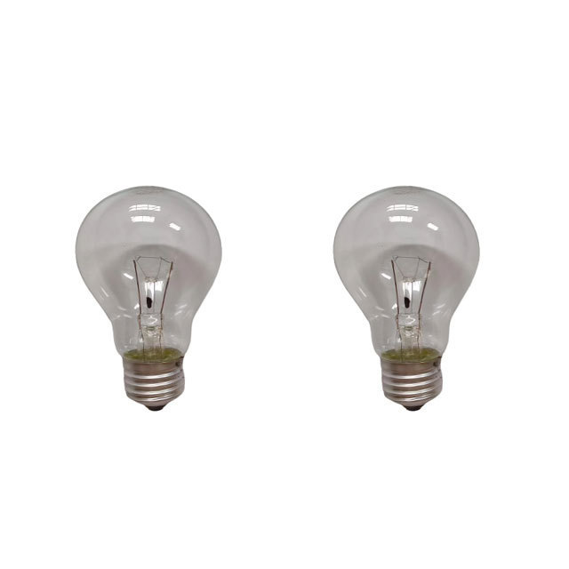 A55 Light Clear Glass 40W 220-240V Edison Incandescent Bulb Passed Ce RoHS