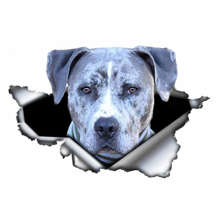 Stickers Blue Pitbull Car Sticker Creative Torn Metal Decal Waterproof Car Styling Pet Car Decoration