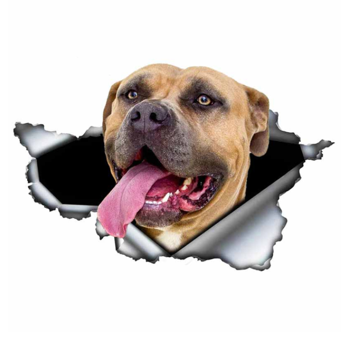 Stickers Blue Pitbull Car Sticker Creative Torn Metal Decal Waterproof Car Styling Pet Car Decoration