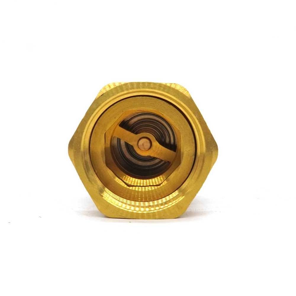 1/2 Inch To 4 Inch High Quality Brass Non Return Valves Foot Check Valve for Water Pump Factory Price New