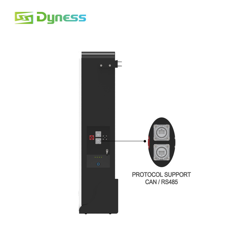 Dyness Super Capacitor Lifepo4 Solar Lithium Ion Battery 48V 51.2V 5Kwh 10Kw 200Ah Home Energy Storage Powerwall Battery