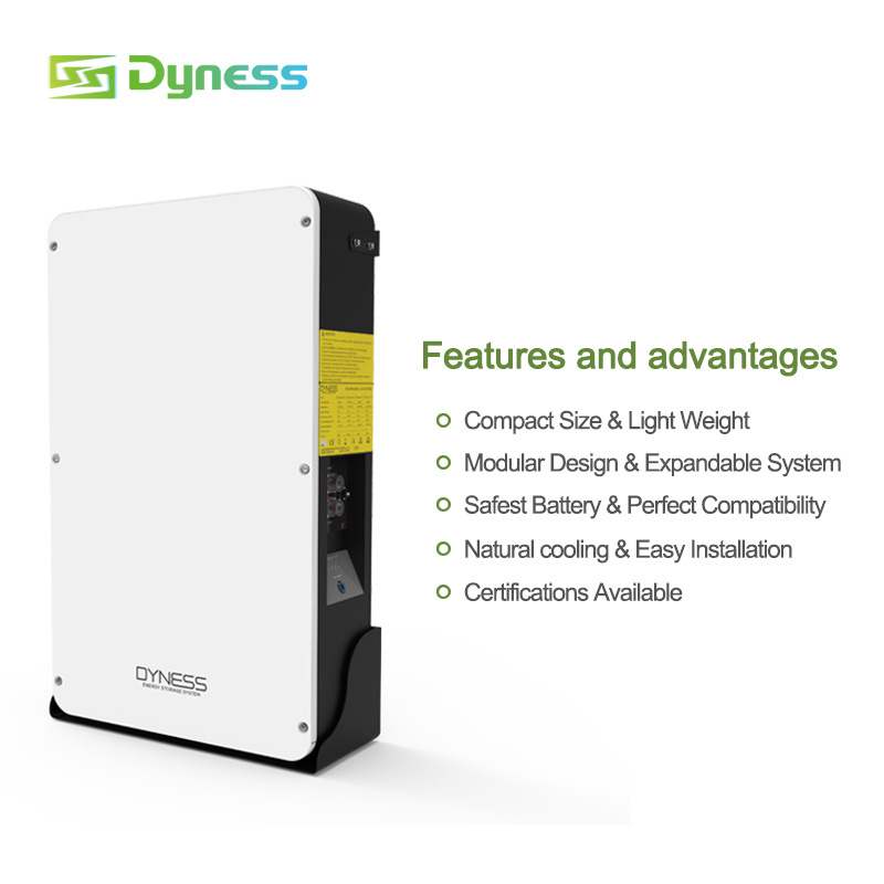 Dyness Super Capacitor Lifepo4 Solar Lithium Ion Battery 48V 51.2V 5Kwh 10Kw 200Ah Home Energy Storage Powerwall Battery