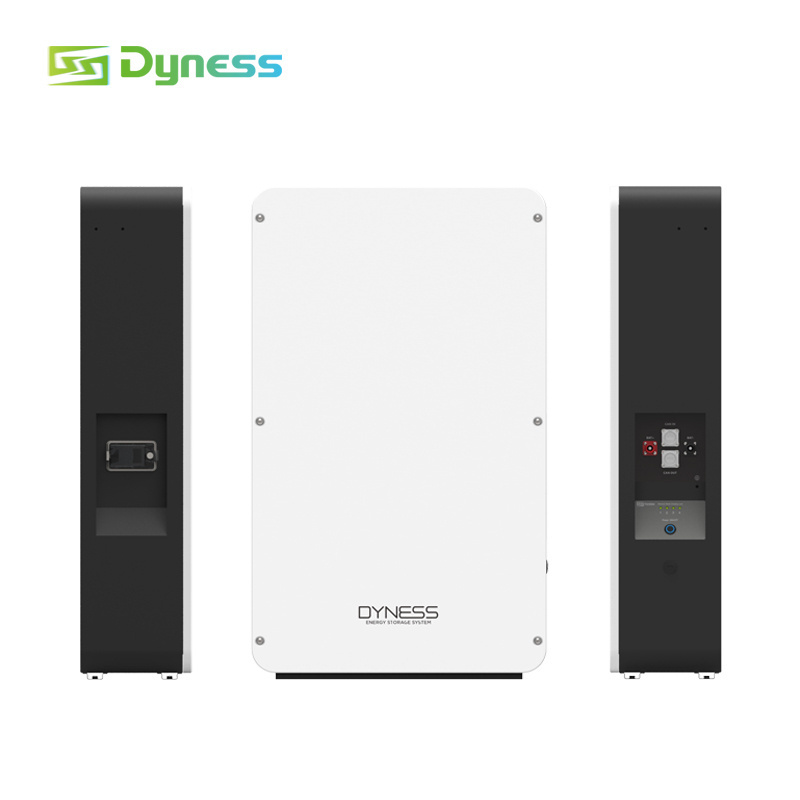 Dyness Super Capacitor Lifepo4 Solar Lithium Ion Battery 48V 51.2V 5Kwh 10Kw 200Ah Home Energy Storage Powerwall Battery