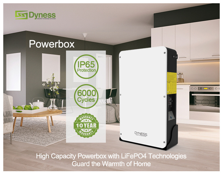 Dyness Super Capacitor Lifepo4 Solar Lithium Ion Battery 48V 51.2V 5Kwh 10Kw 200Ah Home Energy Storage Powerwall Battery