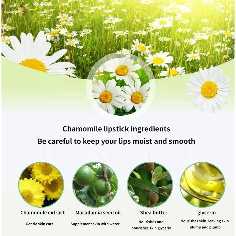 Natural Organic Chamomile Essence Lip Gloss Moisturising Waterproof Vegan Colorful Gentle Lip Balm Stick For Winter Lip Care