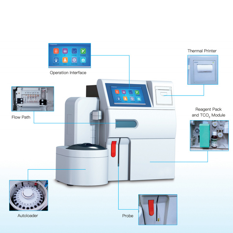 Fully Automated Laboratory Automatic Blood Gas Electrolyte Analyzer with K/Na/Cl/Ca/Li/pH Optional AFT800