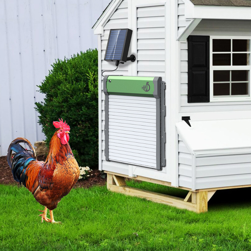 HHD battery powered automatic chicken coop door lock for chicken house