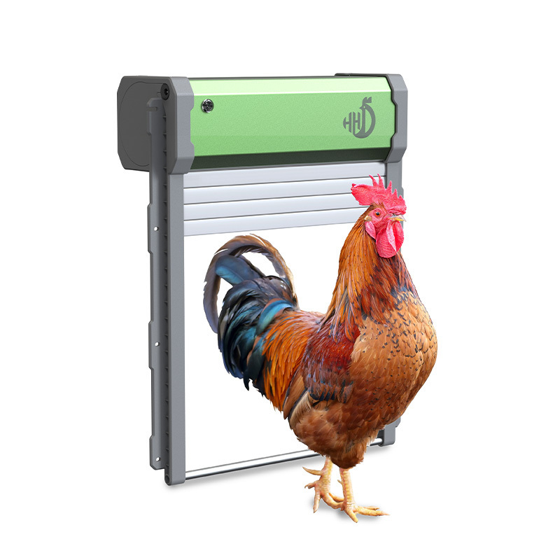 HHD battery powered automatic chicken coop door lock for chicken house